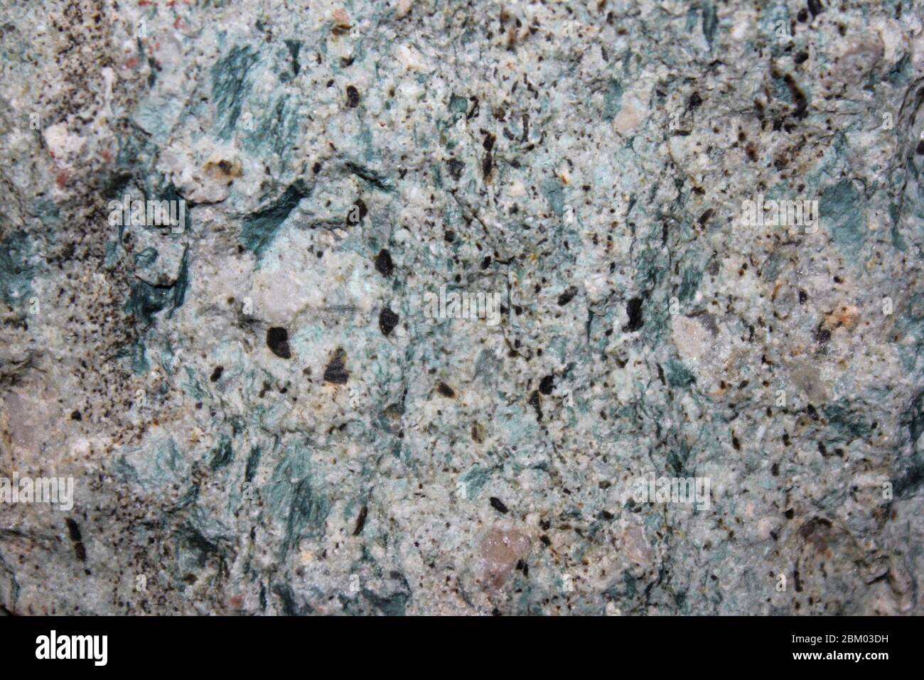 Agglomerate - pyroclastic igneous rock with larger lava fragments in tuffaceous matrix Stock Photo