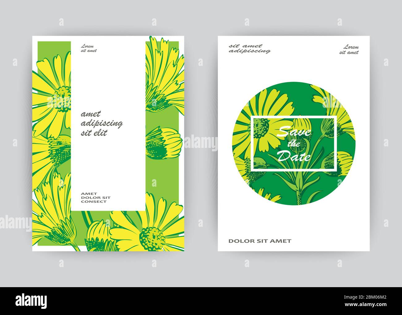 Hand drawn close-up Chrysanthemum flower artistic vector illustration ...