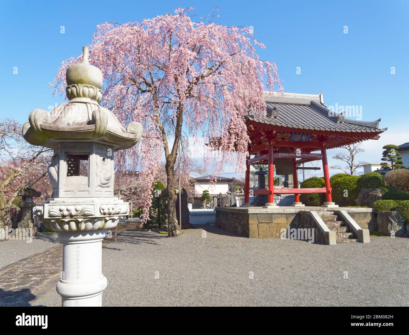 Cherry blossom trees outside a temple in Japan. Jōzaiji Temple, Kawaguchiko, Stock Photo