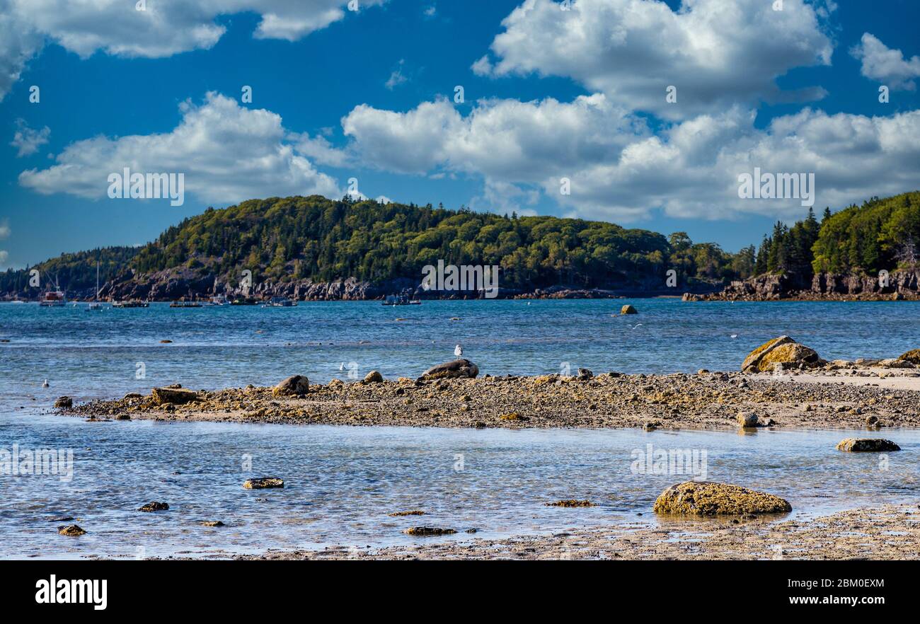 Tidal Pools in Low Tide in Bar Harbor Stock Photo Alamy