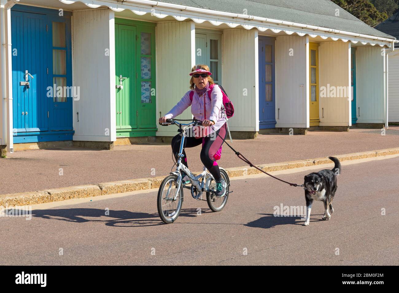 Bournemouth, Dorset UK. 6th May 2020. UK weather: lovely warm sunny day with temperatures rising ready for the long bank holiday weekend.  Beaches are mainly deserted with people taking their permitted exercise at the seaside, most adhering to the Coronavirus guidelines.  Woman cyclist cycling along promenade with dog on lead past beach huts - riding bike bicycle. Credit: Carolyn Jenkins/Alamy Live News Stock Photo