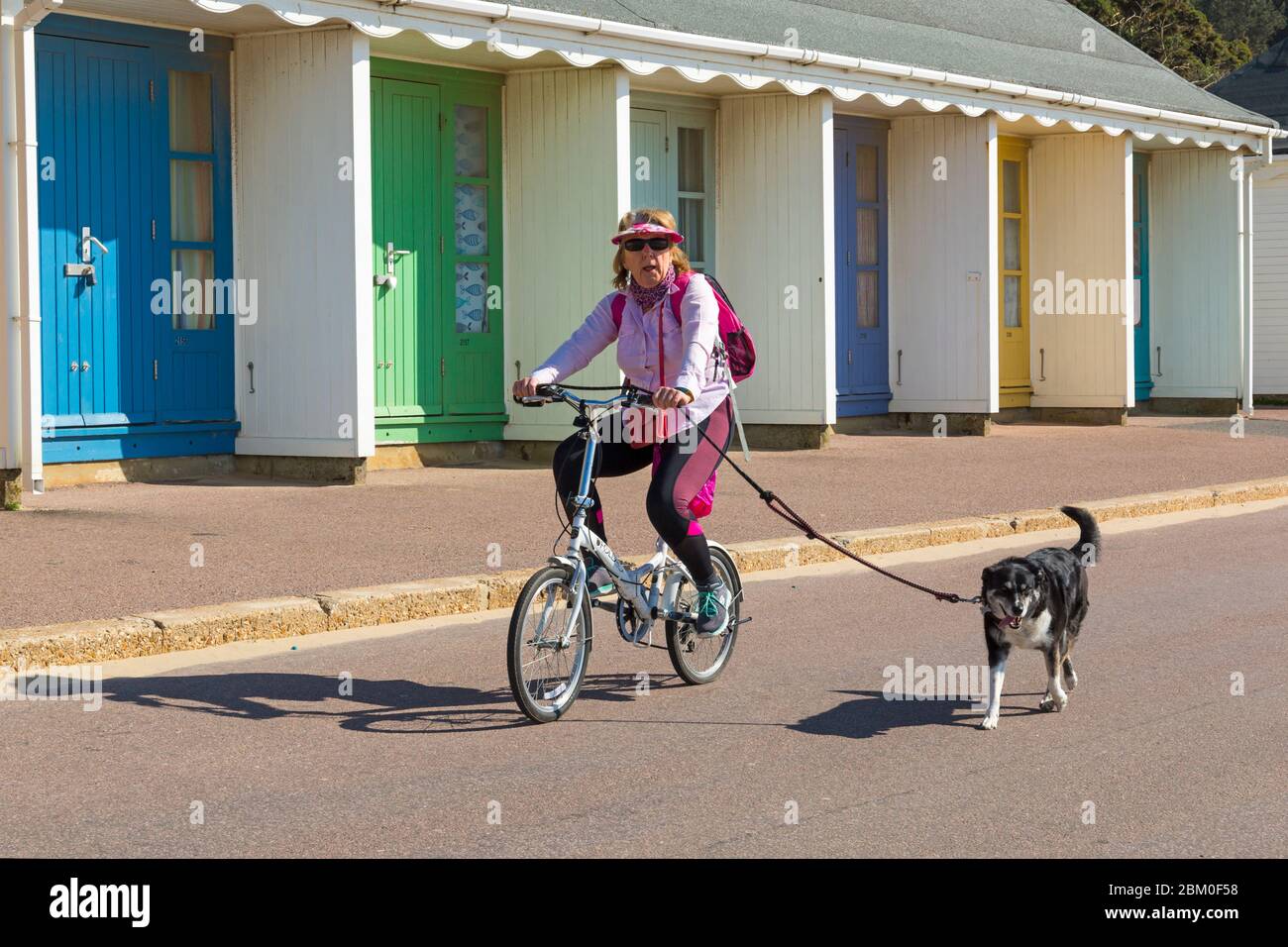 Bournemouth, Dorset UK. 6th May 2020. UK weather: lovely warm sunny day with temperatures rising ready for the long bank holiday weekend. Beaches are mainly deserted with people taking their permitted exercise at the seaside, most adhering to the Coronavirus guidelines. Woman cyclist cycling along promenade with dog on lead past beach huts - riding bike bicycle. Credit: Carolyn Jenkins/Alamy Live News Stock Photo