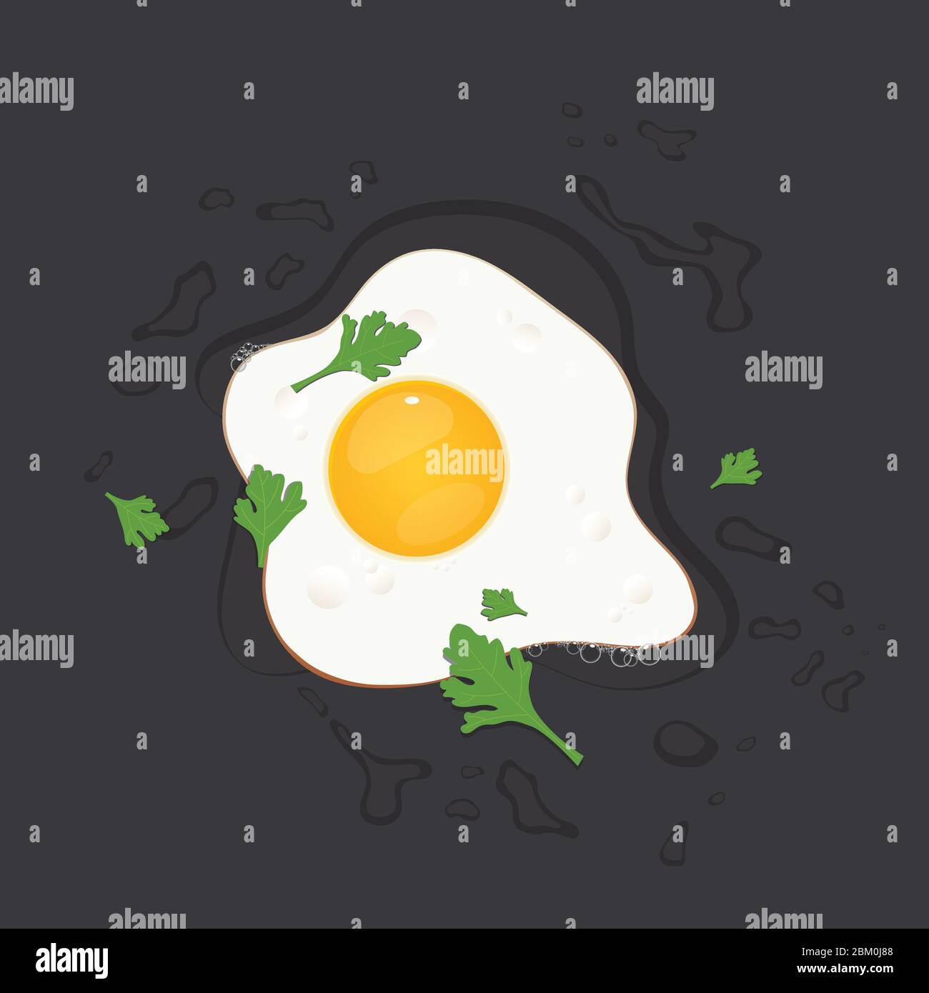Fried egg with parsley vector illustration Stock Vector Image & Art Alamy