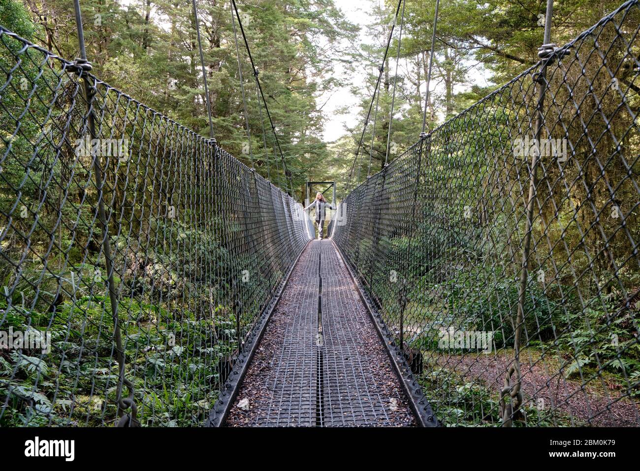 Woman crossing a suspension bridge over a stream on the Kepler track. Stock Photo