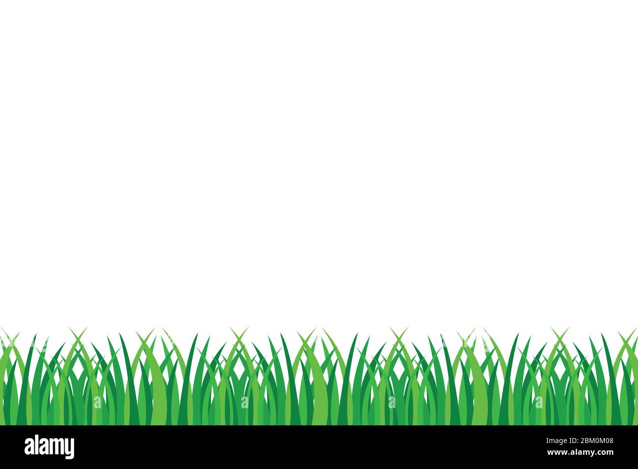 Green grass vector illustration isolated on white background Stock ...