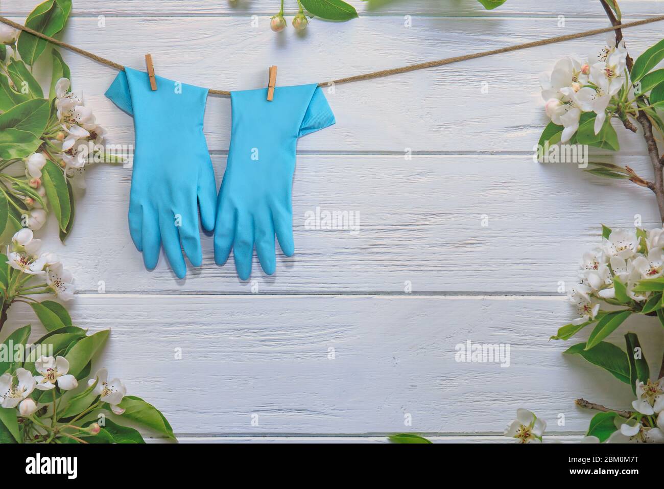 Rubber gloves, cleaning items on spring background, pastel wooden planks and spring blossoms. Close up. Spring regular cleaning. Flat lay. Empty place Stock Photo