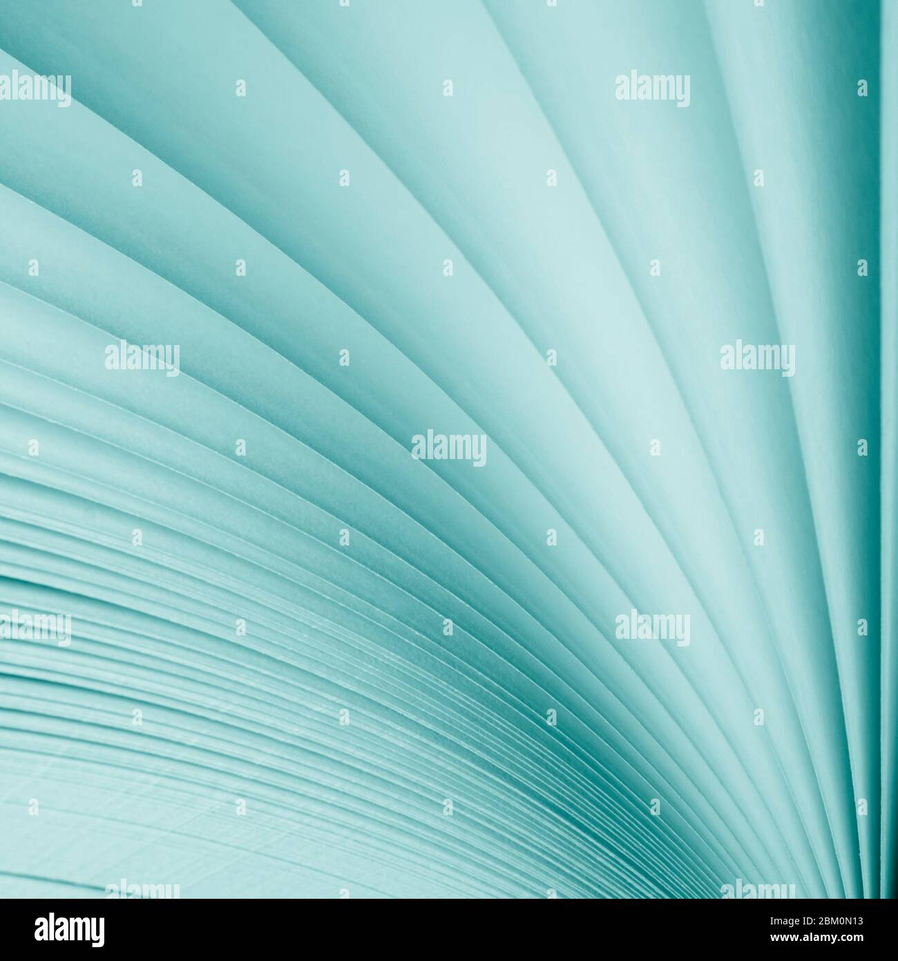 Blurred. Macro view of book pages. Toned Stock Photo