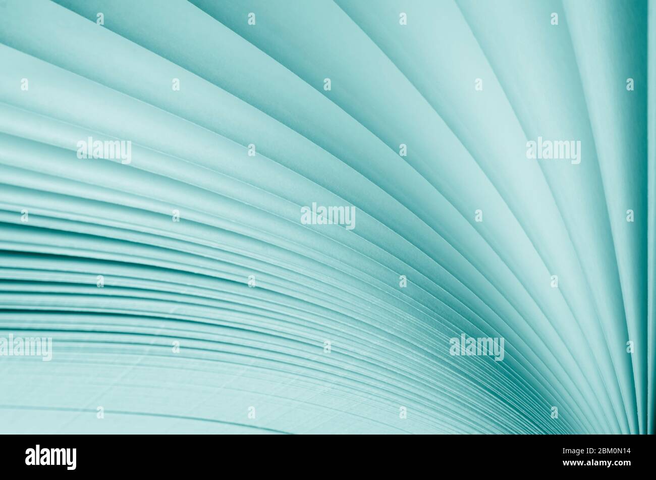 Blurred. Macro view of book pages. Toned Stock Photo