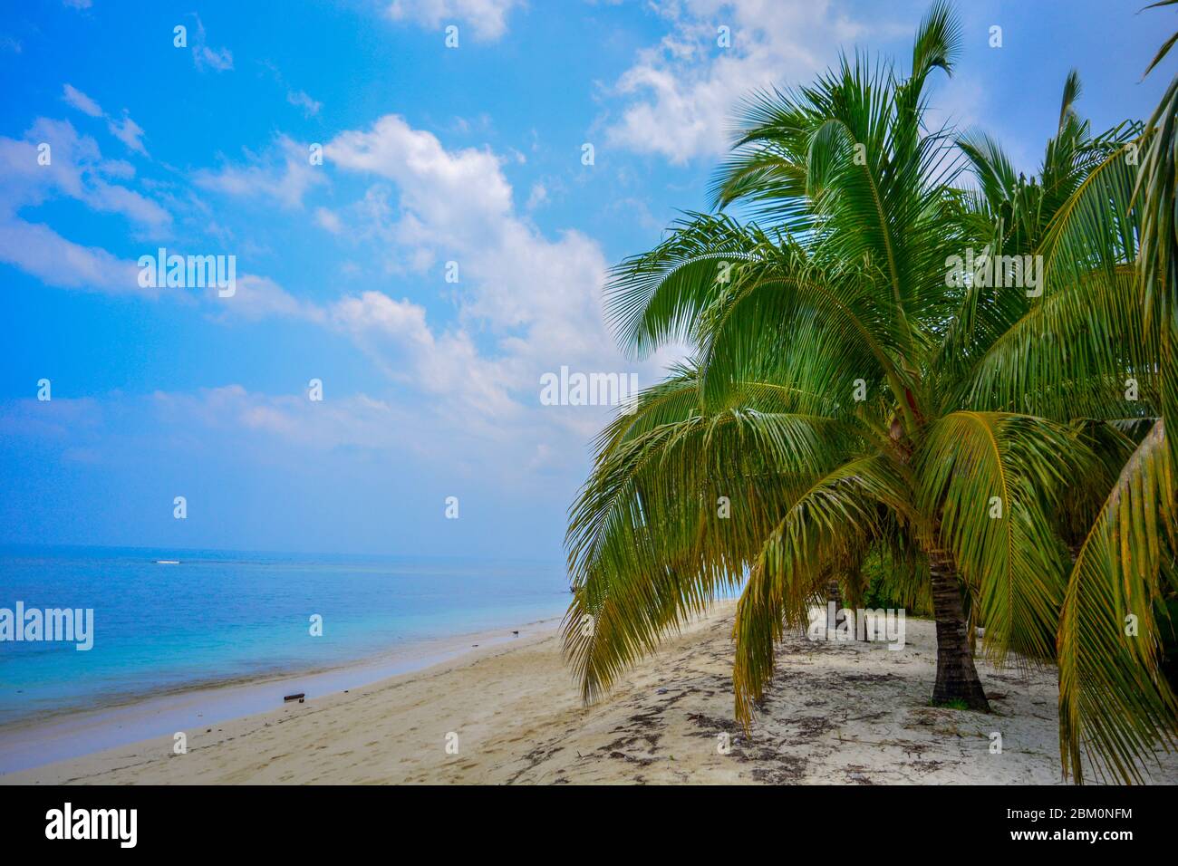 Amazing tropical beach: white sand, light blue sea water, green, abundant palms and nobody around. A scene of pure, uncontaminated exotic nature. Stock Photo