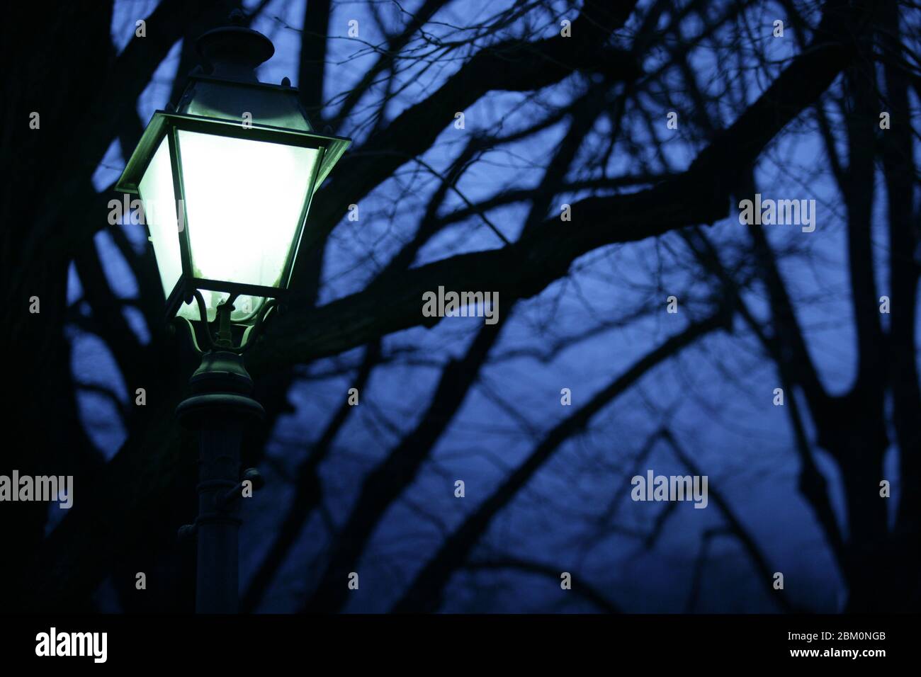 Old fashioned street lamp in the twilight with branches in the background Stock Photo