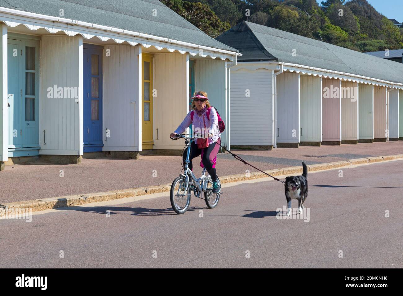 Bournemouth, Dorset UK. 6th May 2020. UK weather: lovely warm sunny day with temperatures rising ready for the long bank holiday weekend.  Beaches are mainly deserted with people taking their permitted exercise at the seaside, most adhering to the Coronavirus guidelines.  Woman cyclist cycling along promenade with dog on lead past beach huts - riding bike bicycle. Credit: Carolyn Jenkins/Alamy Live News Stock Photo