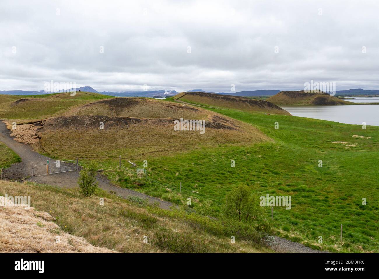 The Sk tusta ag gar Pseudocraters In The M vatn Area In North Iceland the-sk-tusta-ag-gar-pseudocraters-in-the-m-vatn-area-in-north-iceland