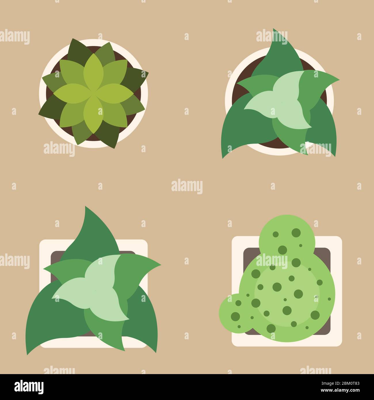Set of plants Stock Vector Images - Alamy