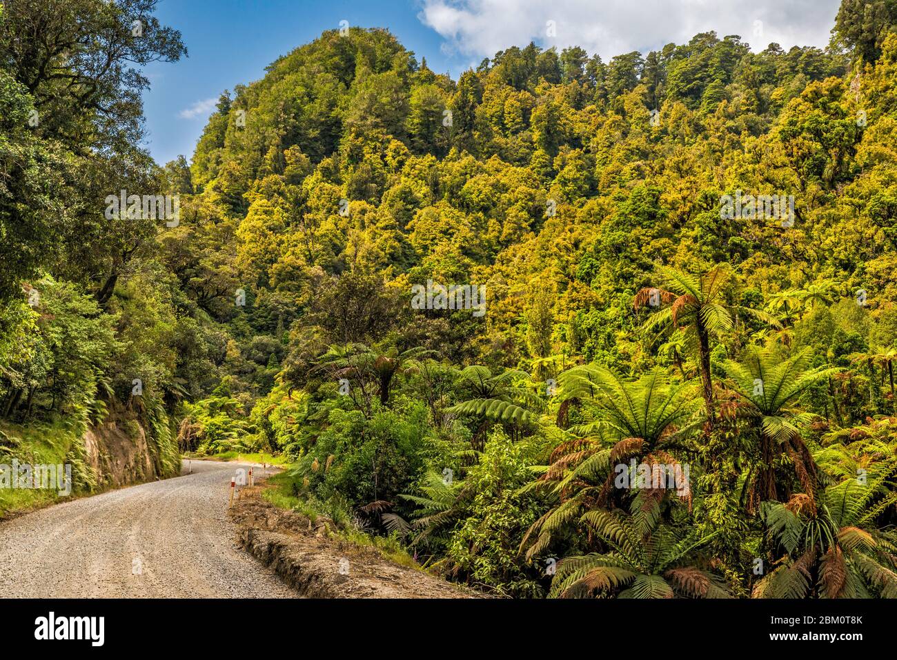 Tangarakau Gorge, Forgotten World Highway (SH43), soon to be