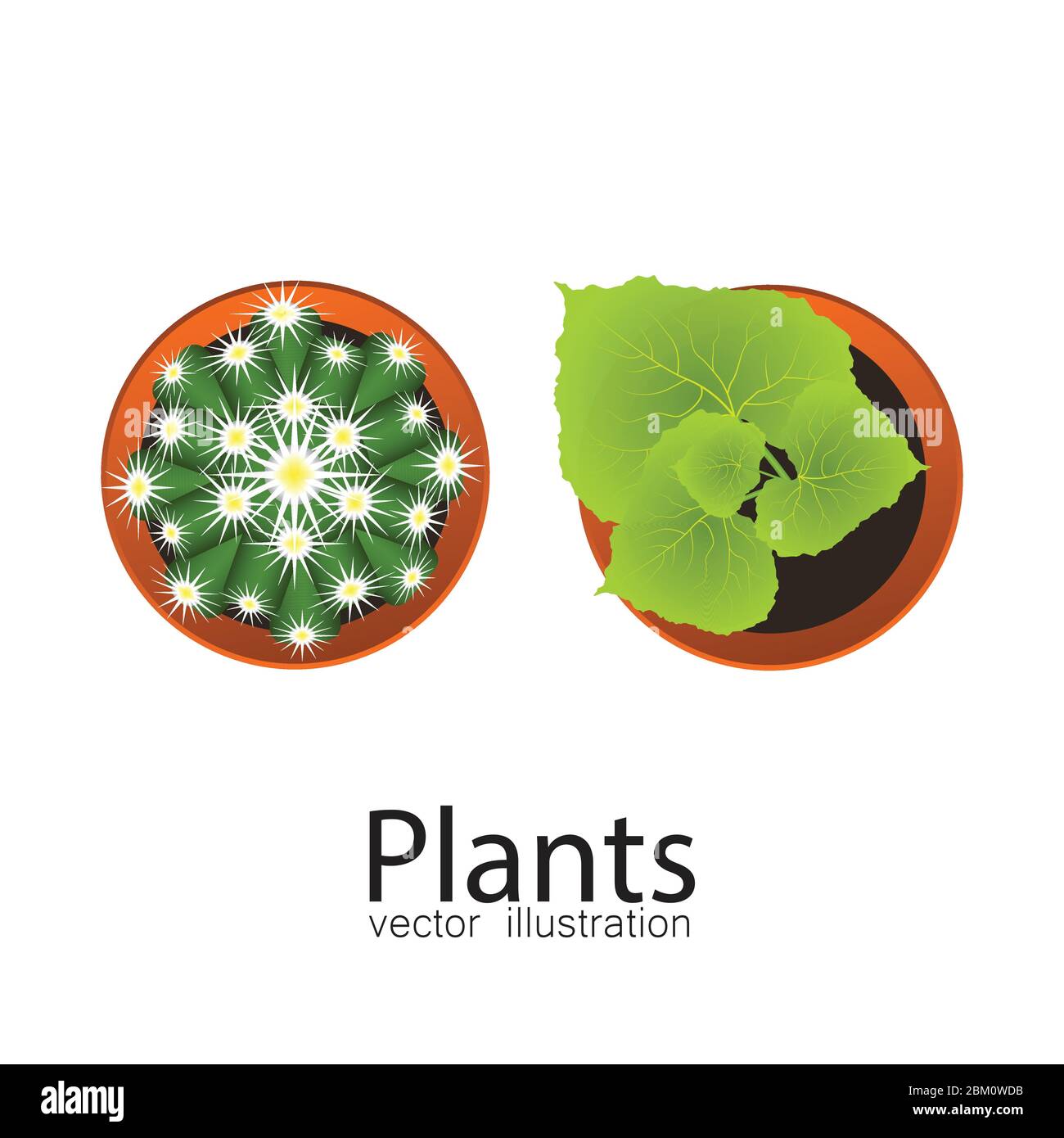 Plant in pot top view. Vector illustration isolated on white background. Stock Vector