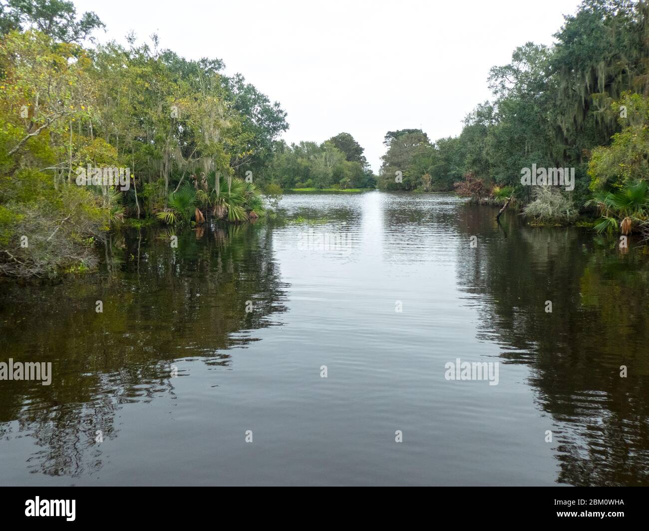 Landscape of the Swampland in the Louisiana bayou, USA Stock Photo