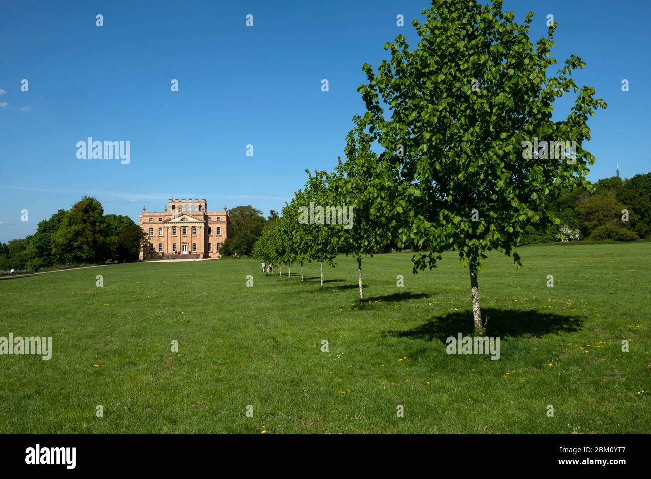 Kingsweston house and estate, Bristol, UK, a public park, showing the parkland and abundant mistletoe growing in the trees and Victorian iron pergola. Stock Photo