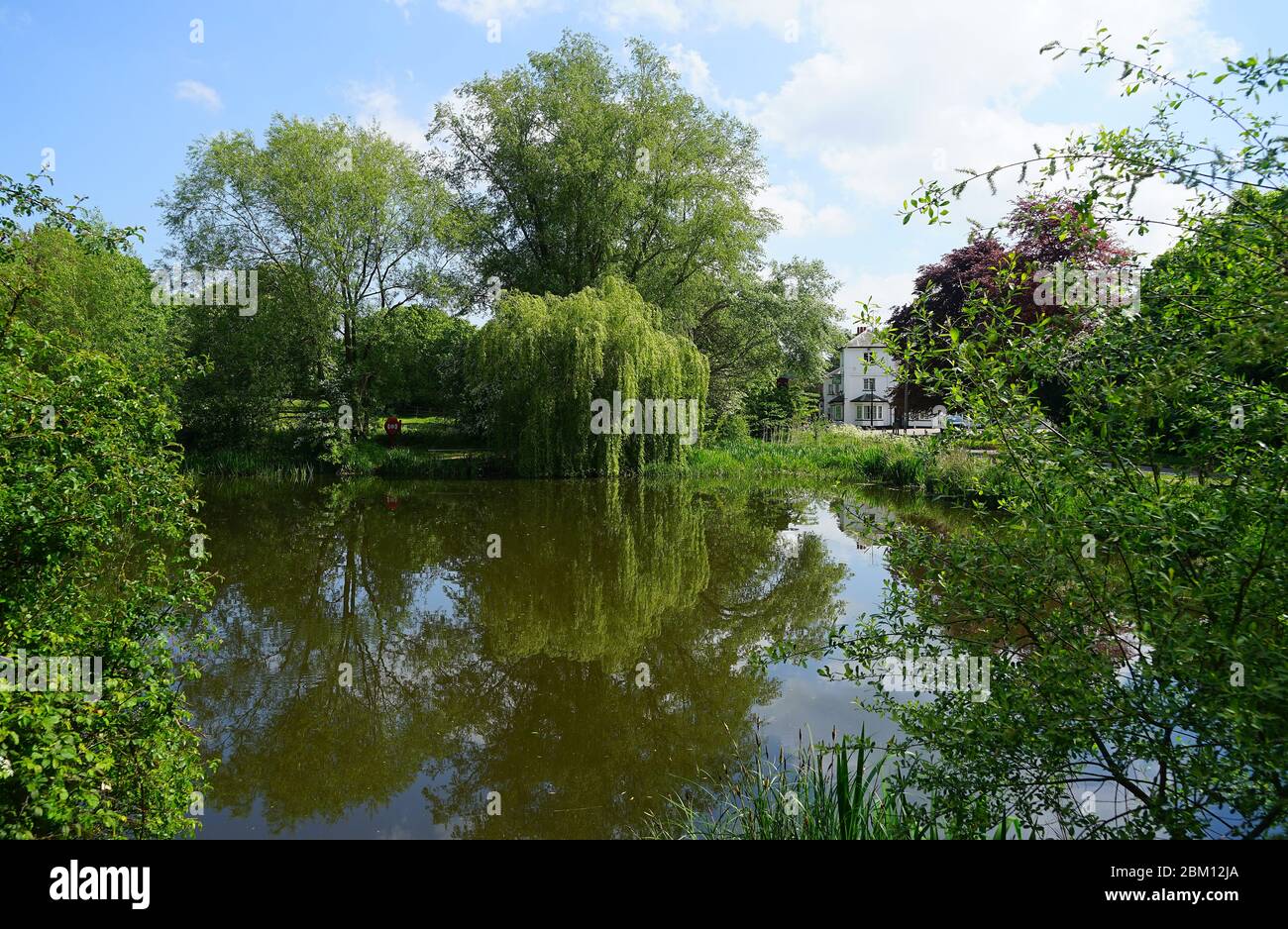 View across Willian Pond to the Fox Inn Stock Photo Alamy