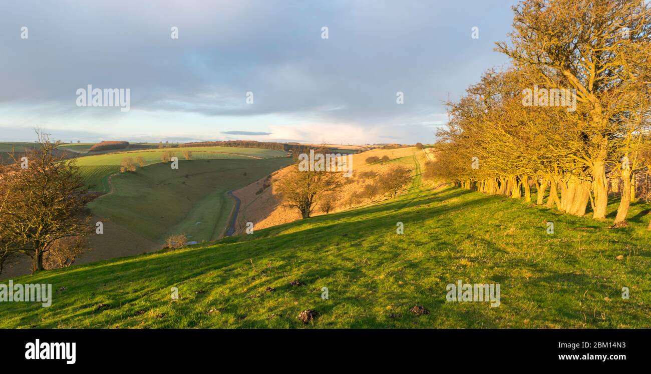 View of the dry valley of Waterdale from Beamer Hill near Thixendale in the Yorkshire Wolds from the Yorkshire Wolds Way long distance path Stock Photo