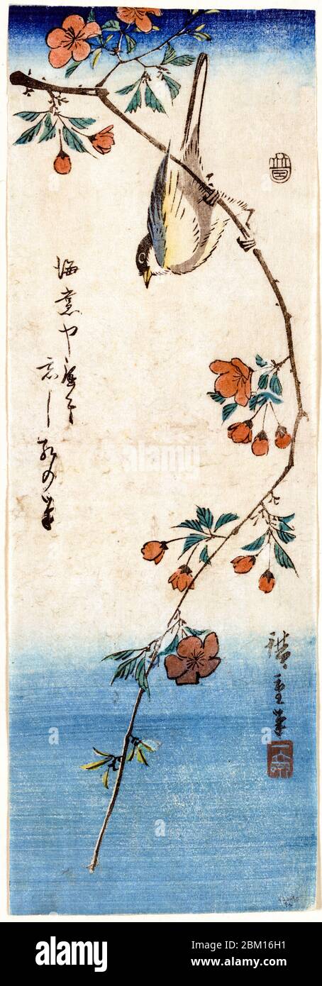 Utagawa Hiroshige, Small Bird on a Branch of Kaidozakura, woodblock print, 1844-1848 Stock Photo