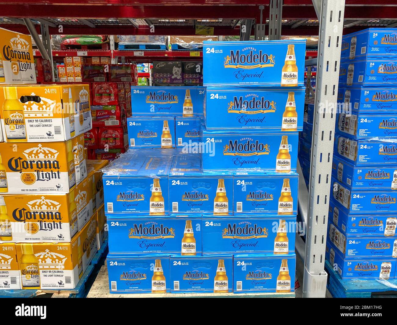 Orlando,FL/USA-5/2/20: Cases of Modelo Especial Cerveza Beer at a Sam's Club  store in Orlando, Florida Stock Photo - Alamy