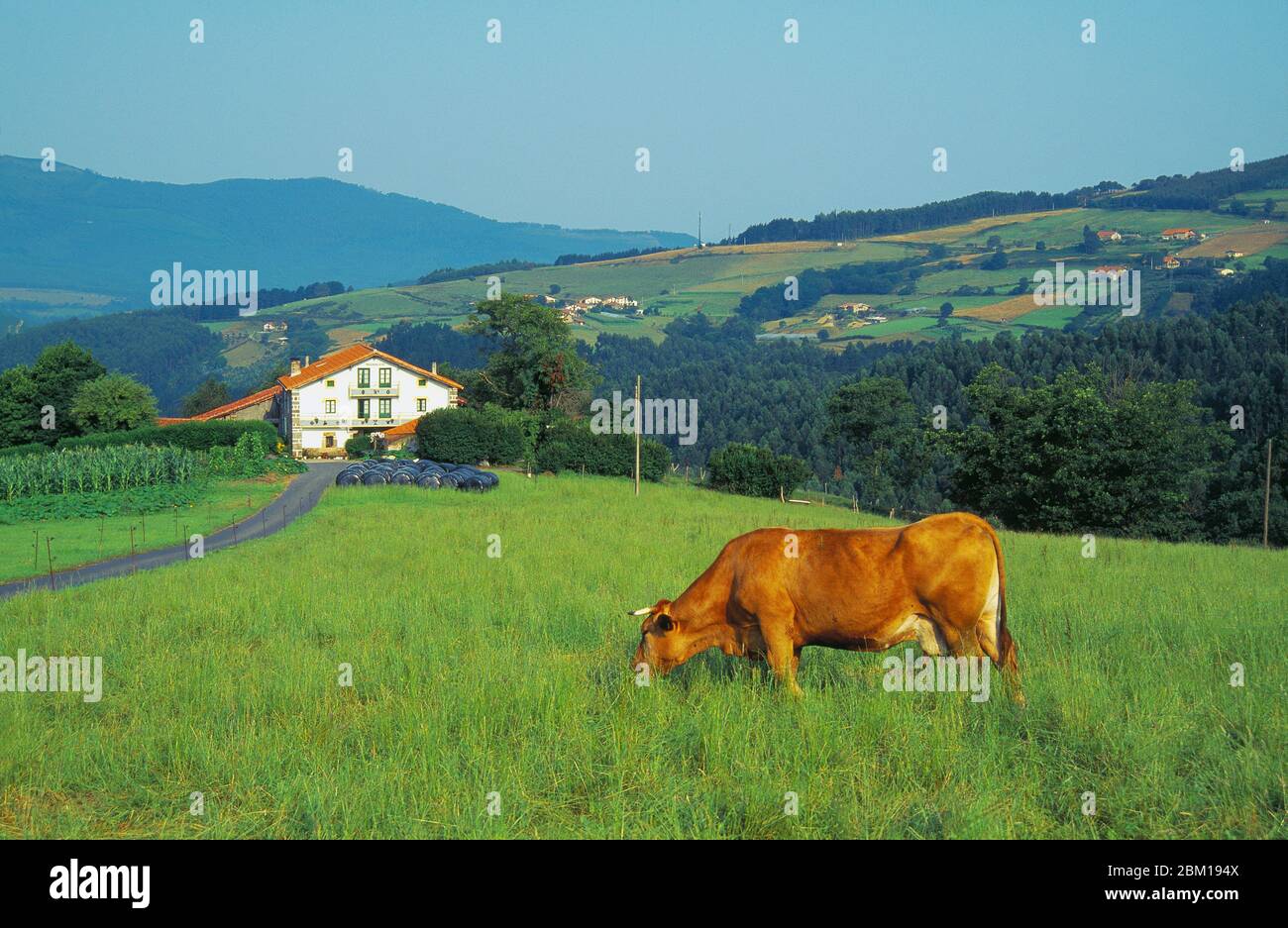 Bucolic landscape. Guernica, Vizcaya province, Basque Country, Spain. Stock Photo