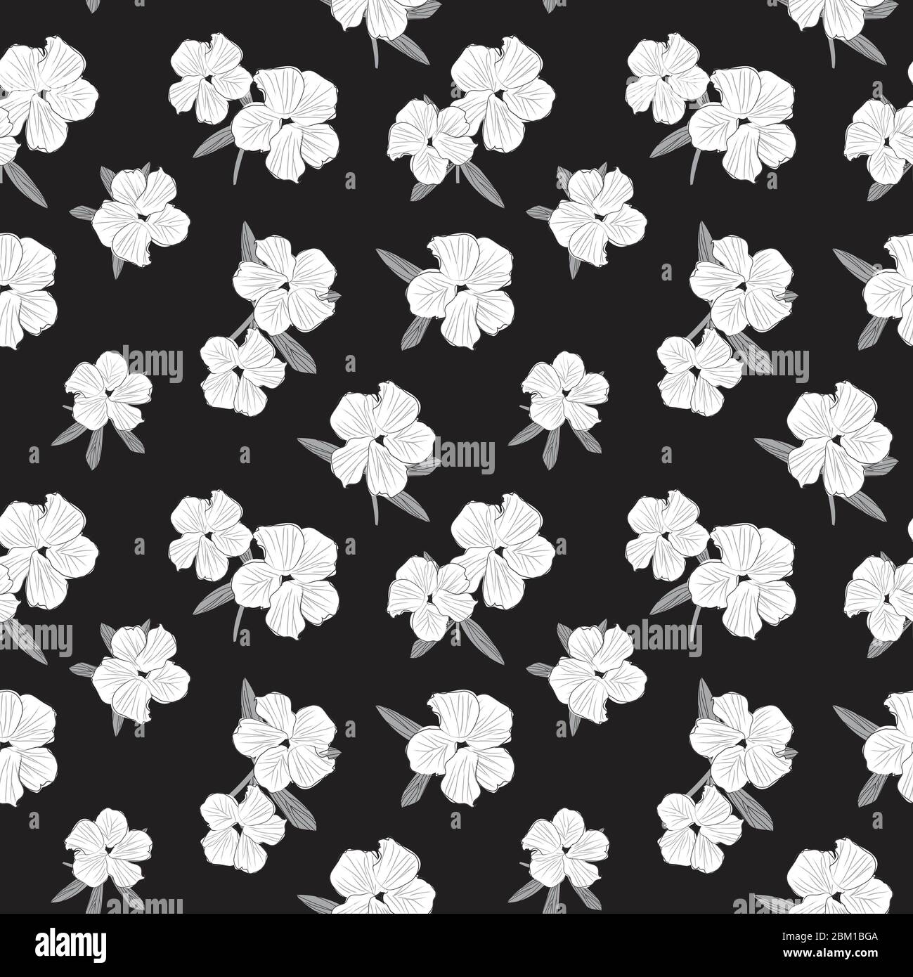 Black and white Floral botanical seamless pattern background for ...