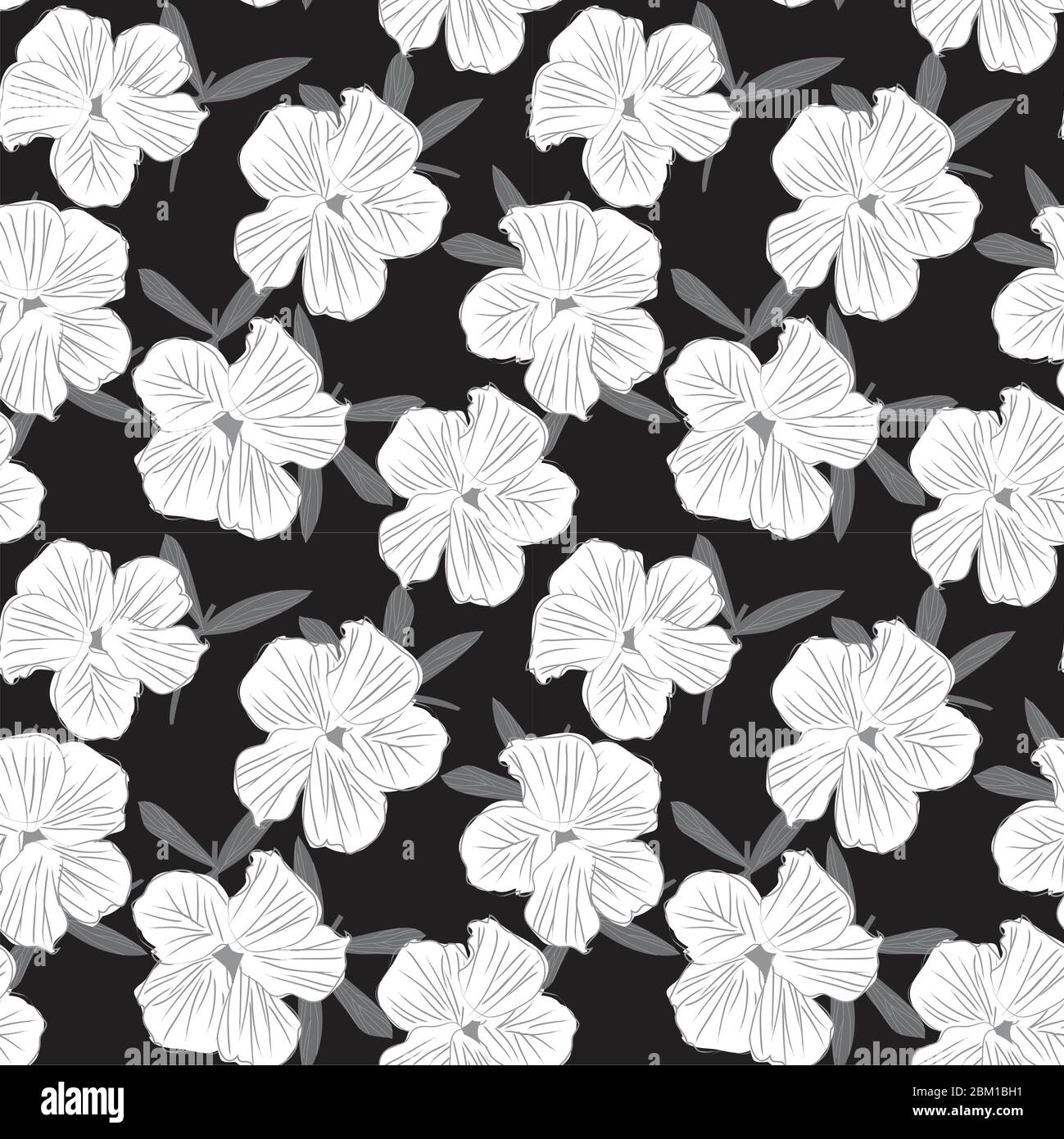 Black and white Floral botanical seamless pattern background for ...