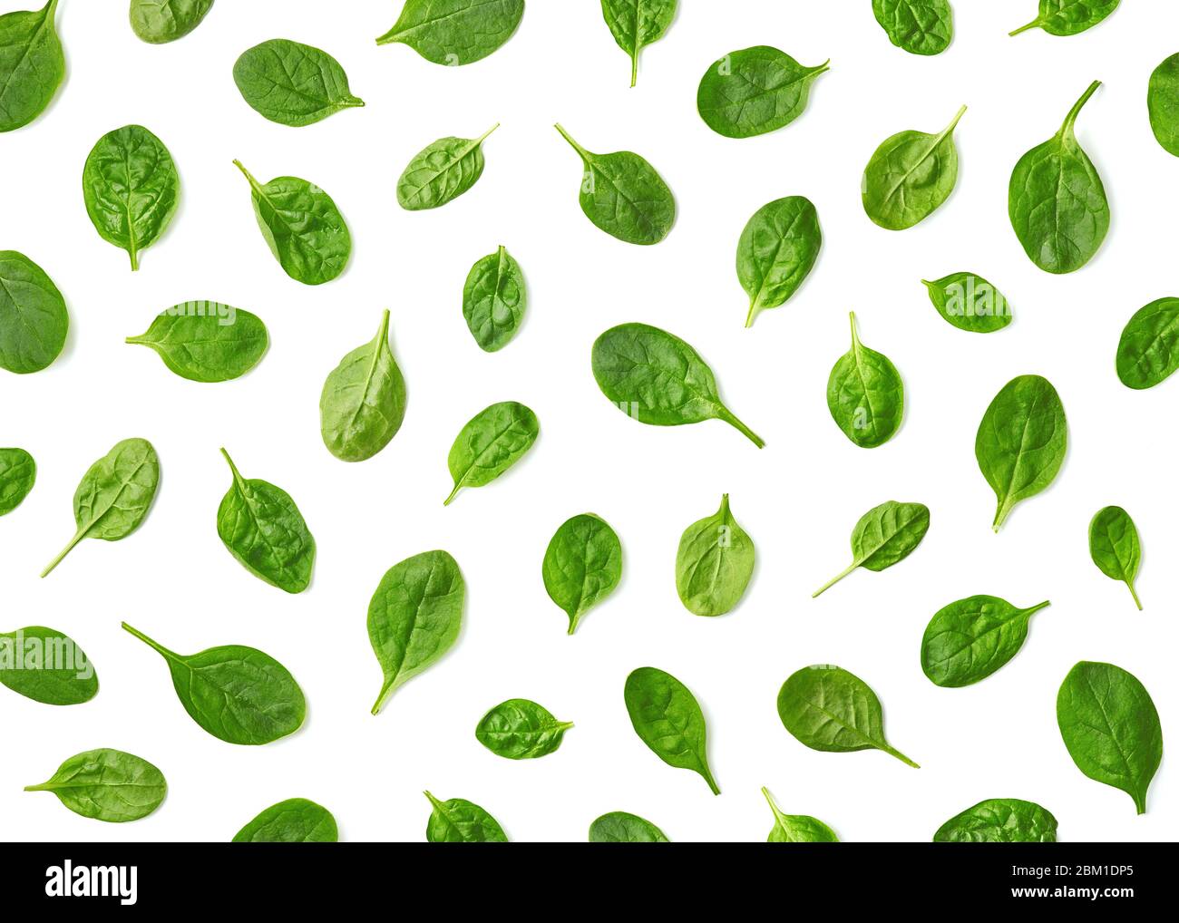 Pattern of fresh spinach leaves isolated on white background. Top view ...