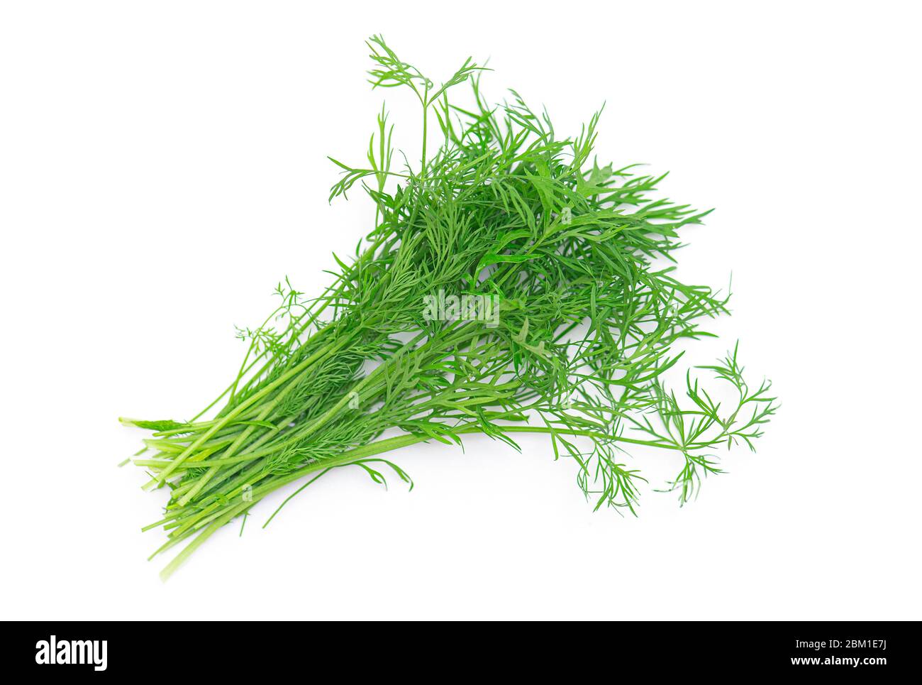 Fresh raw green dill isolated on white background Stock Photo