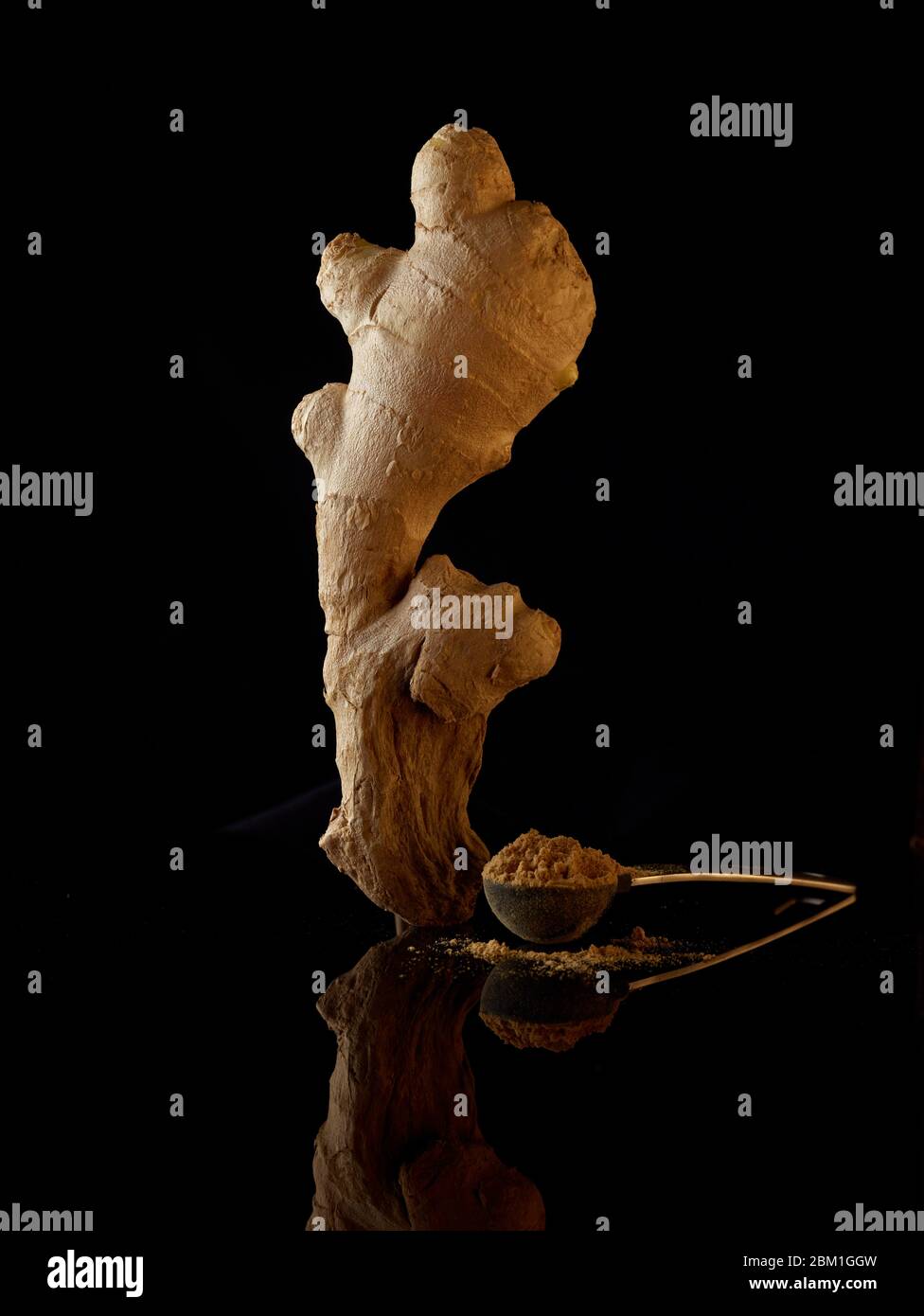 Statuesque and attractive well proportioned natural ginger root food