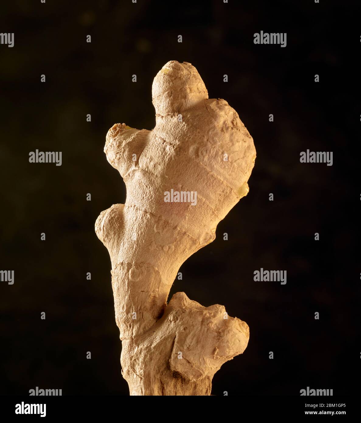 Statuesque and attractive well proportioned natural ginger root food