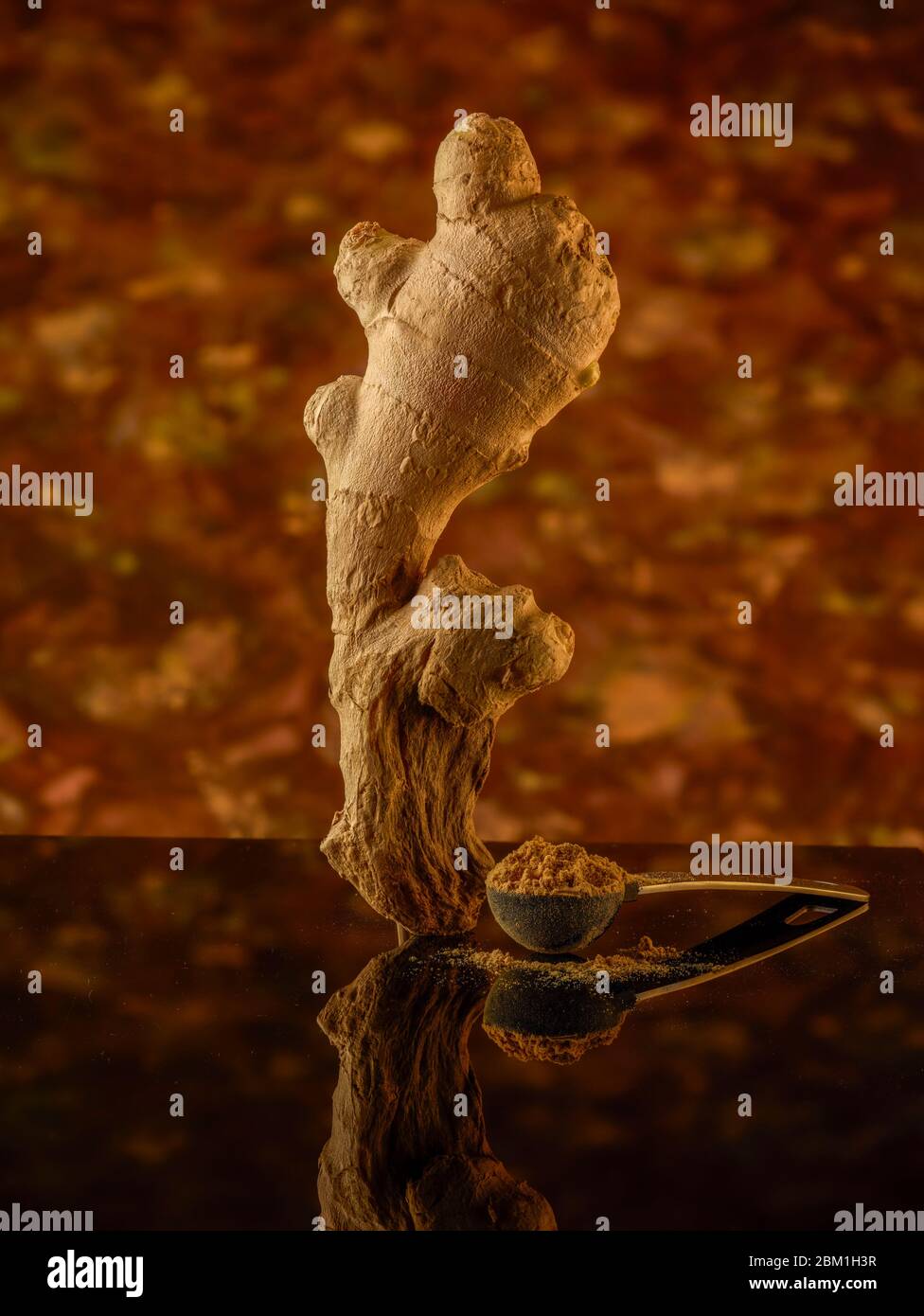 Statuesque and attractive well proportioned natural ginger root food