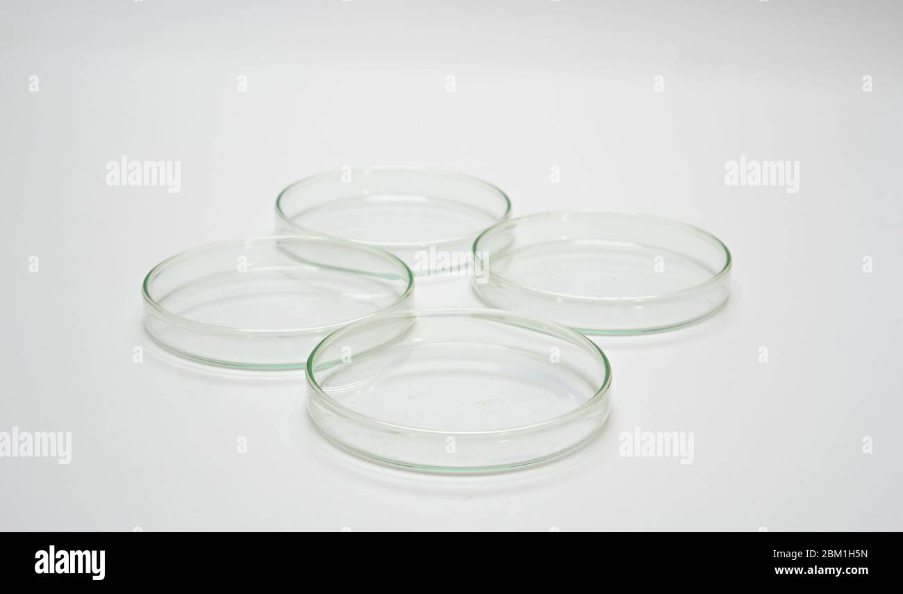 Empty Agar Plate