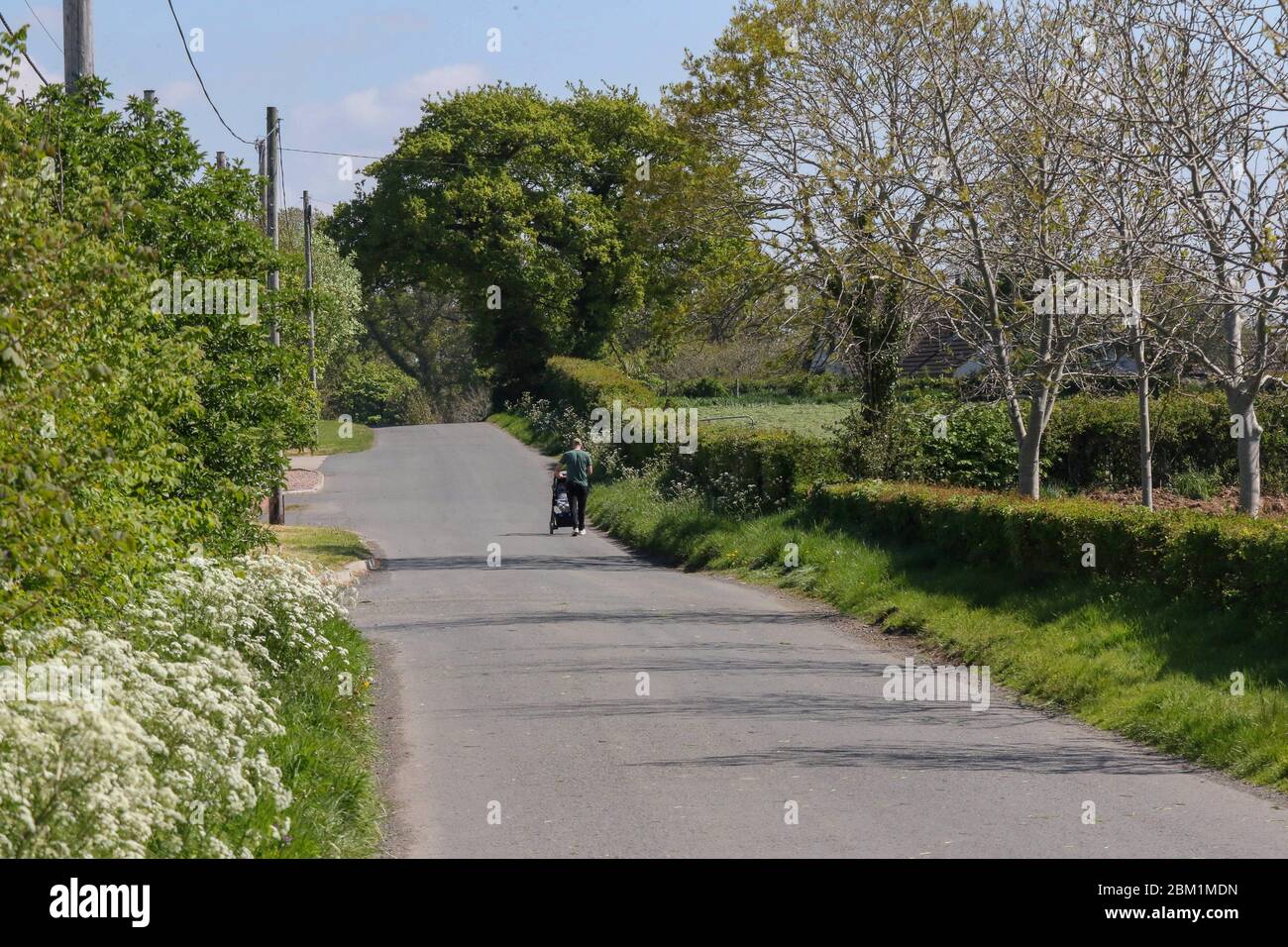 Magheralin, County Armagh, Northern Ireland. 06 May 2020. UK weather - bright blue sky and sunshine today as the execptional spell of dry spring weather continues. There will be some rain overnight before dry and cooler weather returns over the weekend. Man taking young child in pram along a country road. Credit: CAZIMB/Alamy Live News. Stock Photo