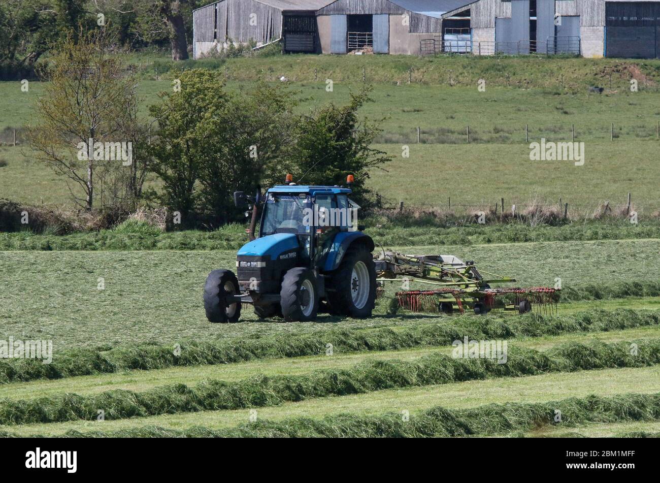 Magheralin, County Armagh, Northern Ireland. 06 May 2020. UK weather - bright blue sky and sunshine today as the execptional spell of dry spring weather continues. There will be some rain overnight before dry and cooler weather returns over the weekend. A tractor gathers up grass on a field. Credit: CAZIMB/Alamy Live News. Stock Photo