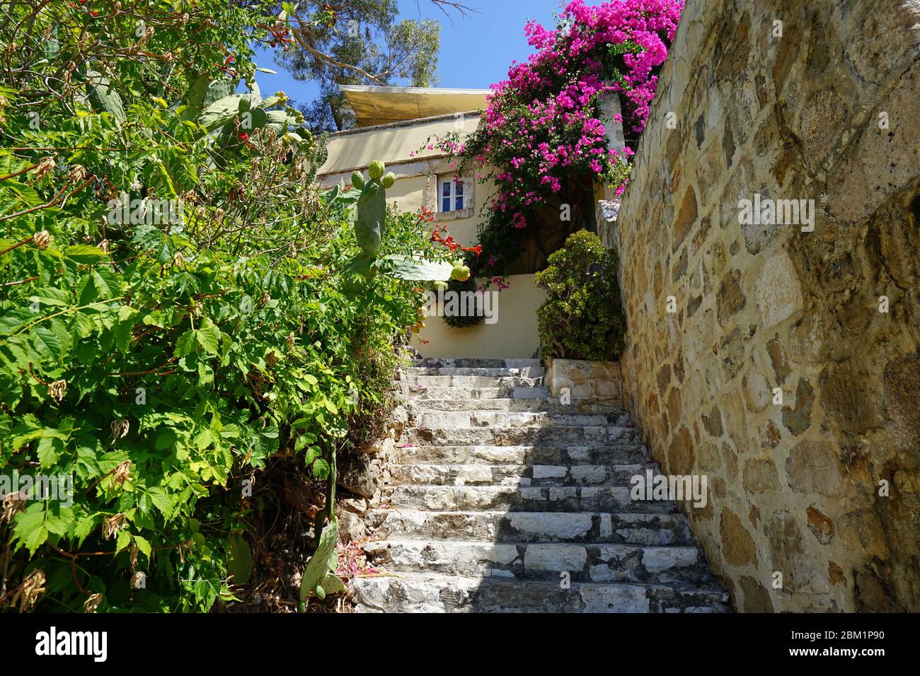Beautiful small street / stairs with flowers in village Asos, Kefalonia Island, Ionian Sea, Mediterranean, Greece Stock Photo