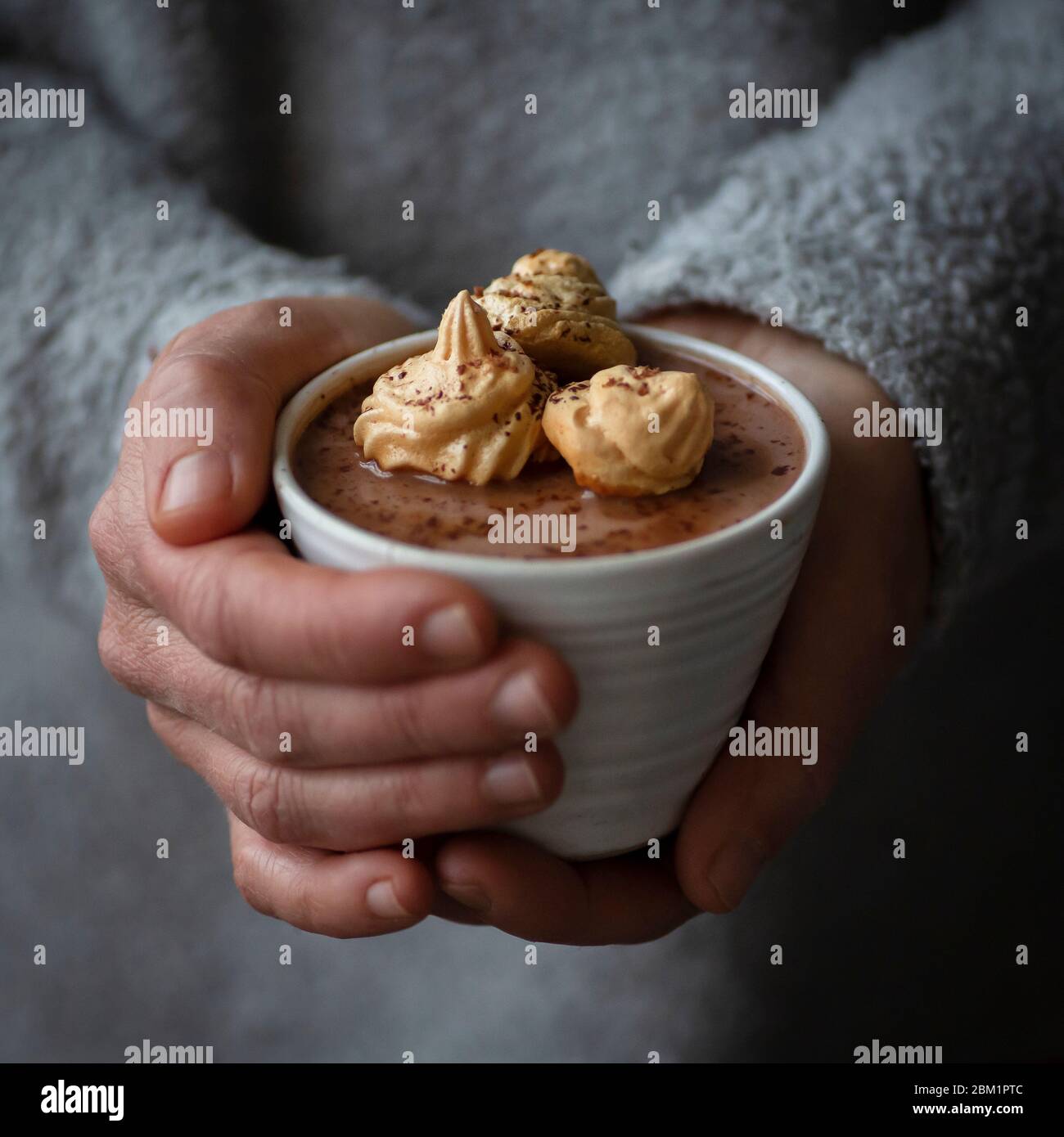 Female hands holding a cup of hot chocolate. Tasty setup with cup, hot chocolate biscuits and autumn colors. Stock Photo