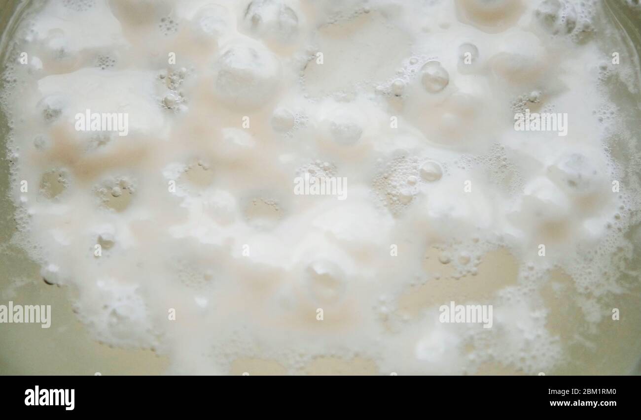 Yeast is ready to brew Stock Photo Alamy