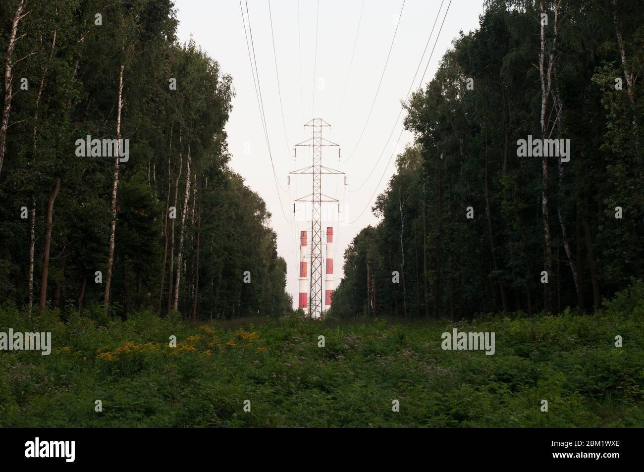 two white and red chambers from coal factories and electric wires surrounded by forest Stock Photo