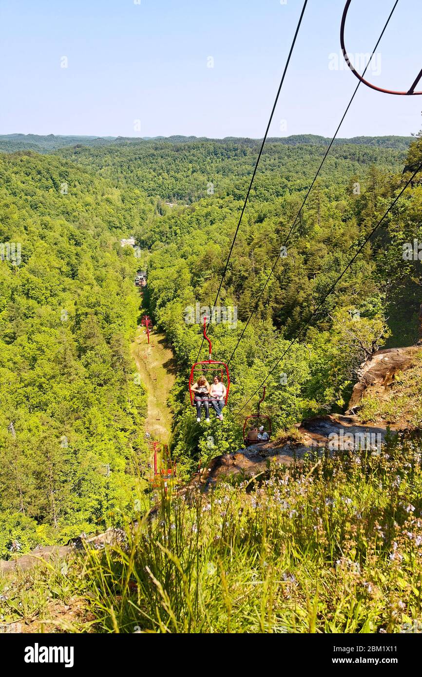overview, chairlift, people, transportation, landscape, scenic, green