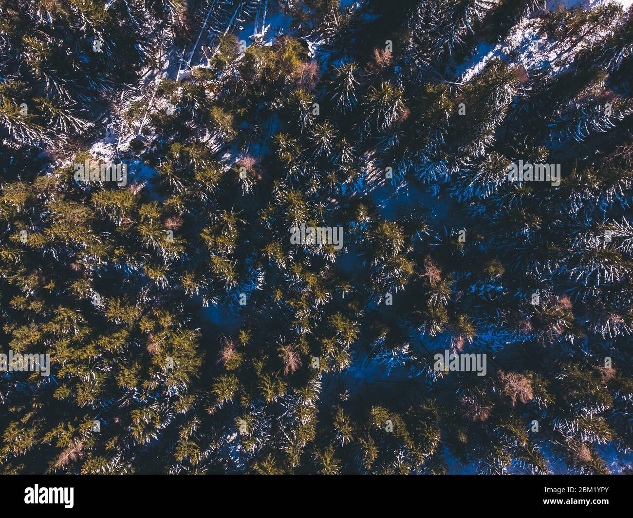 Thick forest area aerial hi-res stock photography and images - Alamy