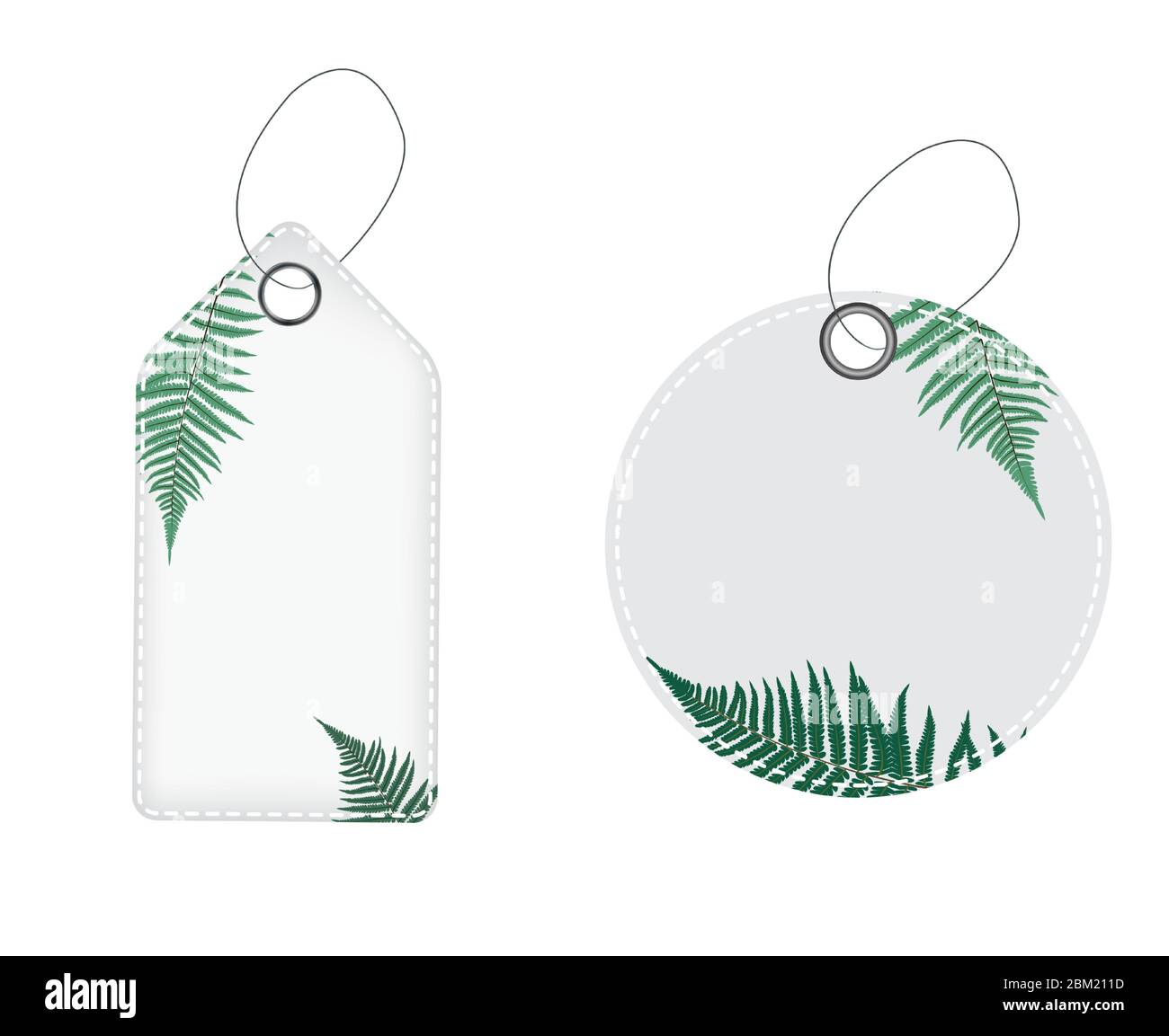Natural Label Price Template with Fern Leaves  Illustration Stock Vector