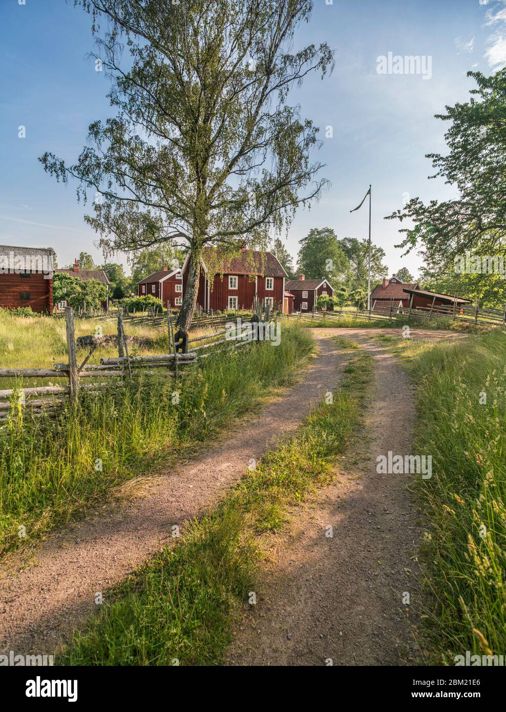 Small country road and old traditional red cottages in a rural landscape at the village Stensjo by. Oskarshamn, Smaland, Sweden, Scandinavia Stock Photo