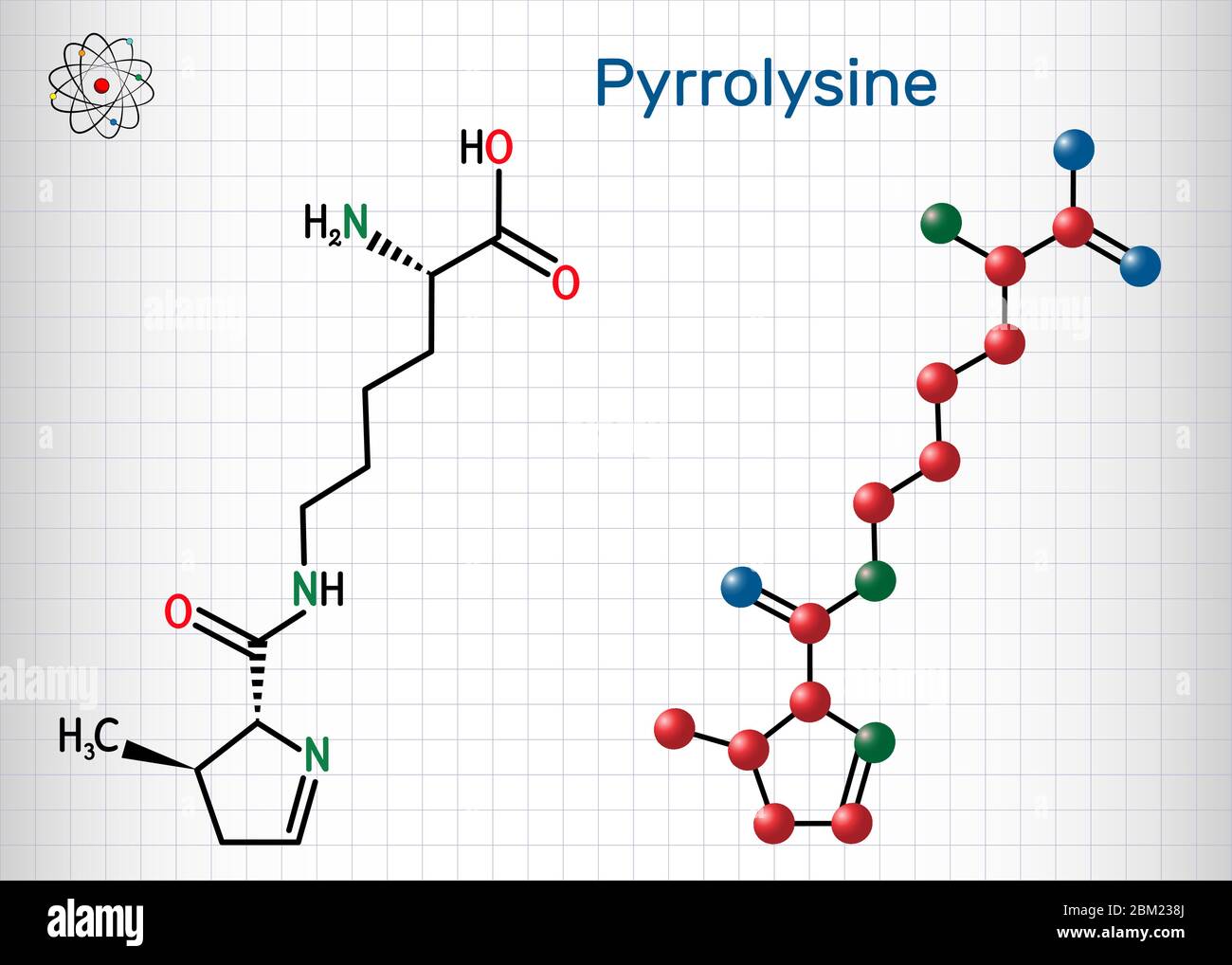 Pyrrolysine, l-pyrrolysine, Pyl, C12H21N3O3 molecule. It is amino acid, is used in biosynthesis of proteins. Structural chemical formula and molecule Stock Vector