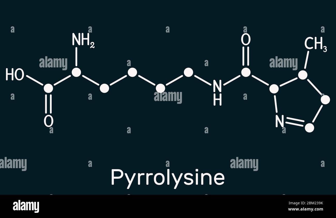 Pyrrolysine, l-pyrrolysine, Pyl, C12H21N3O3 molecule. It is amino acid, is used in biosynthesis of proteins. Skeletal chemical formula on the dark blu Stock Photo