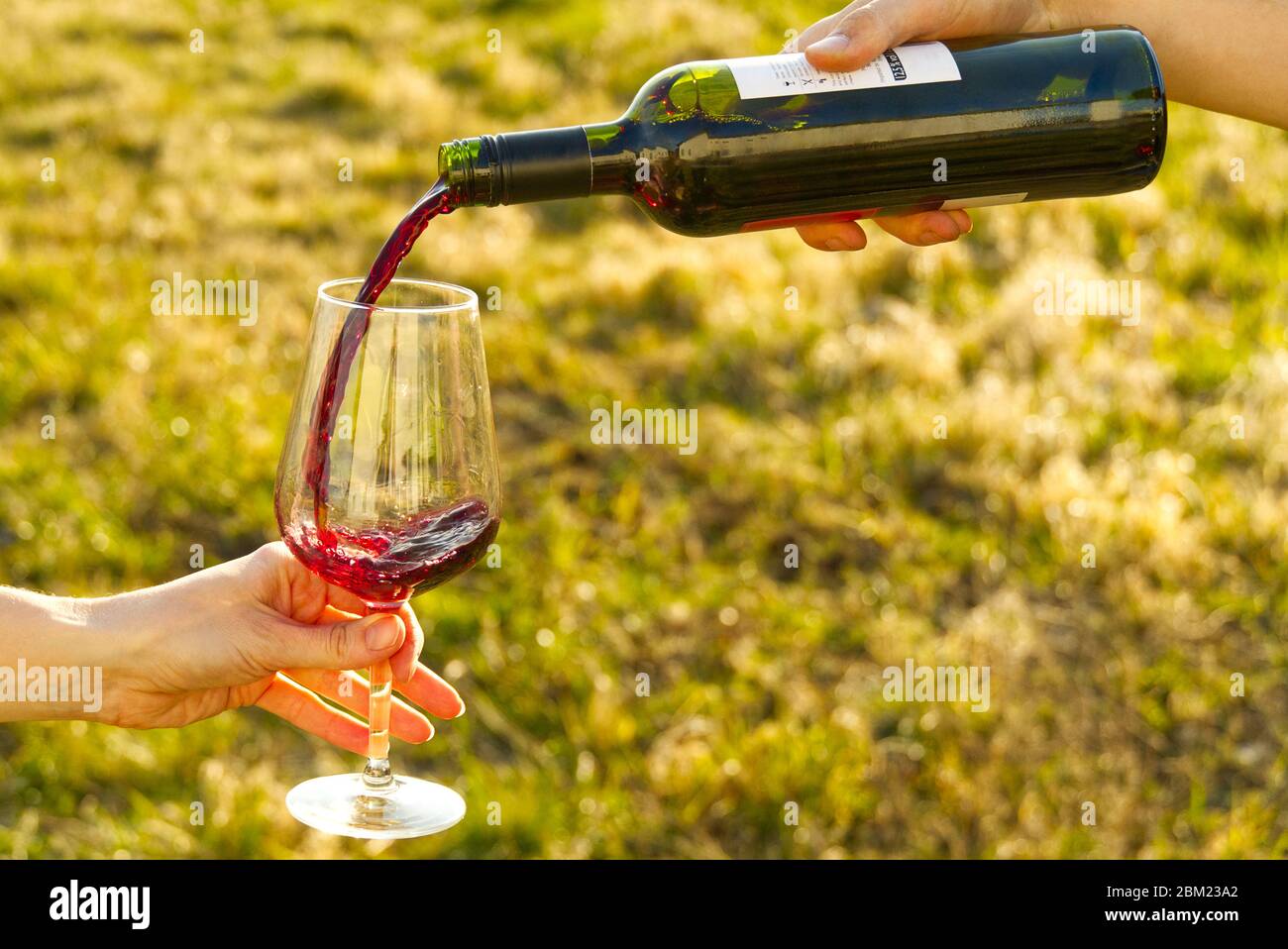 Springield Wines Pouring Process pouring wine girl hi-res stock photography and images - Alamy