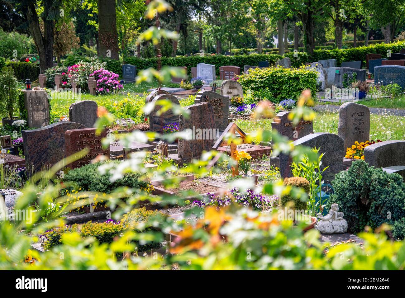 Graves with gravestones, wooden crosses and flower decorations at the old cemetery of Oberursel near Frankfurt Stock Photo