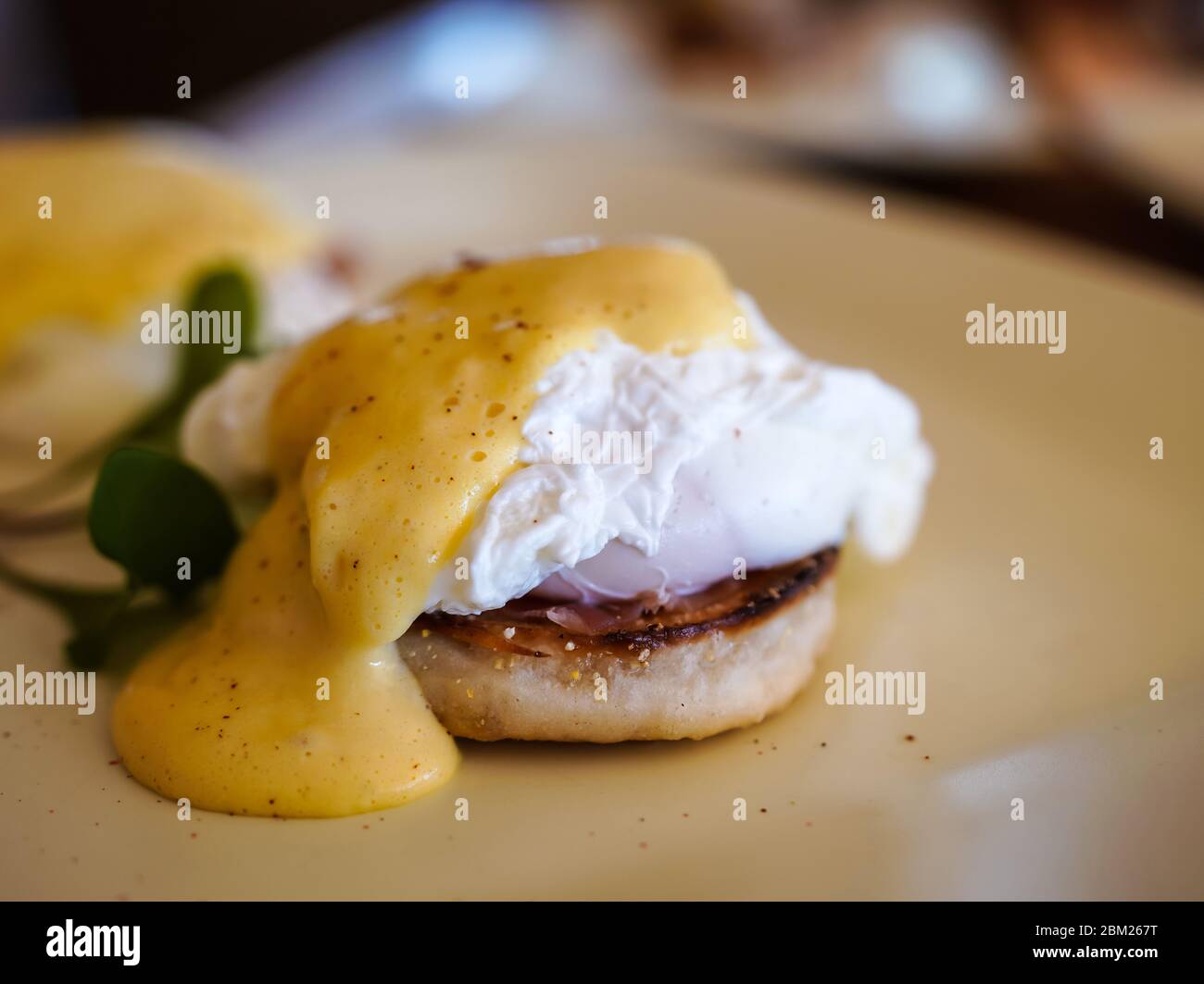Eggs Benedict, a traditional American breakfast that consists of two halves of an English muffin topped with a poached egg, bacon or ham, and hollanda Stock Photo