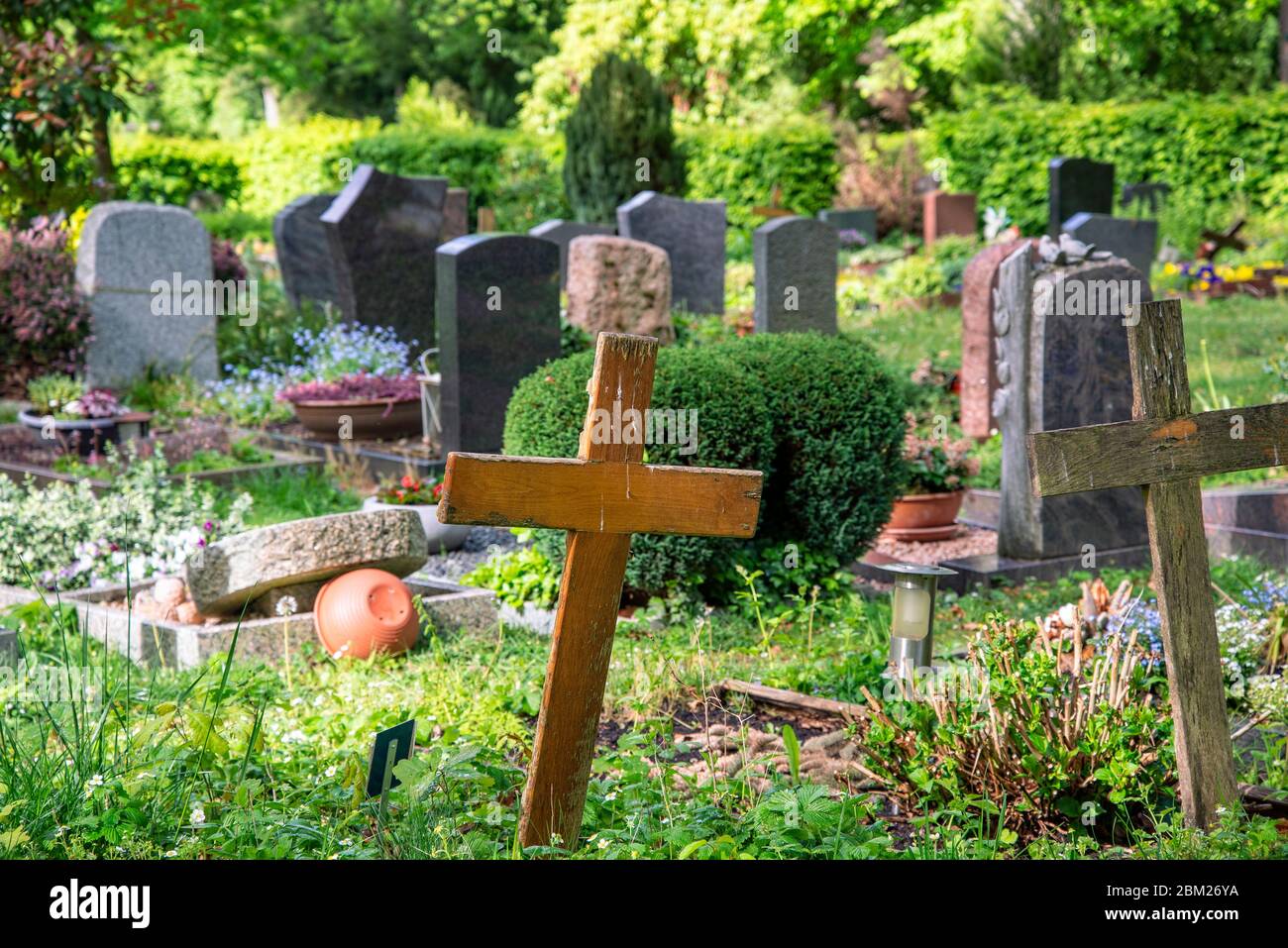 Graves with wooden crosses and gravestones at the Waldfriedhof in Bad Homburg Stock Photo